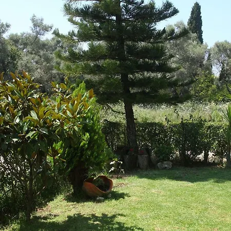 Arokaria